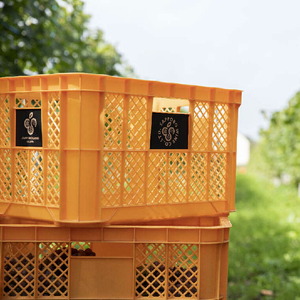 石狩市産ぶどう100％で醸造したワイン6銘柄フルセット