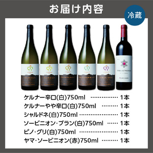 石狩市産ぶどう100％で醸造したワイン6銘柄フルセット