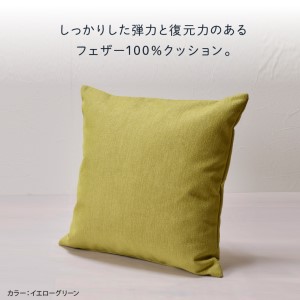 blocco フェザー100％ クッション（48×48cm） 460102001 イエロー