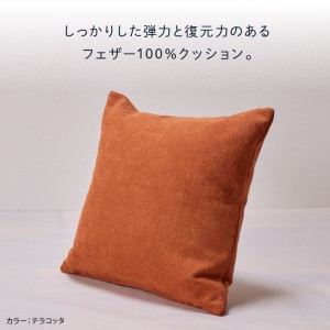 blocco フェザー100％ クッション（65cm×65cm） 460114001 ブルーグリーン