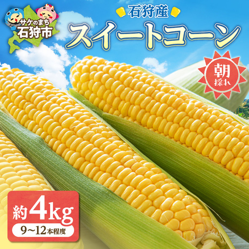 石狩産 スイートコーンとうもろこし（4.0kg以上 約9～12本）｜トウモロコシ とうきび 北海道 石狩市