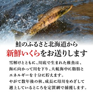 北海道産秋鮭いくら(醤油漬け130g×2)北海道 石狩市 魚卵