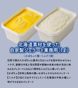 LicoLicoの北海道素材を使った自家製ジェラート・かぼちゃ＆ミルク(業務用/1,000ml×2)北海道石狩市 アイス スイーツ りこりこ