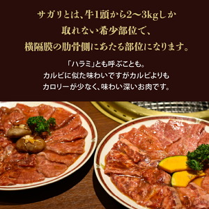 牛肉 【匠の技術】 サガリブロック 3kg / 業務用 