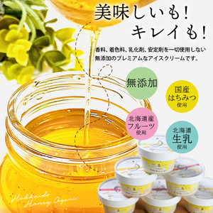 アイスクリーム 6個【 無添加 ・ 北海道産フルーツ ・ 蜂蜜 】スイーツ はちみつ デザートアイスクリーム 北海道石狩市