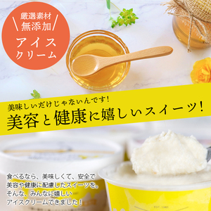 アイスクリーム 6個【 無添加 ・ 北海道産フルーツ ・ 蜂蜜 】スイーツ はちみつ デザートアイスクリーム 北海道石狩市