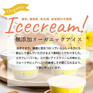 アイスクリーム 6個【 無添加 ・ 北海道産フルーツ ・ 蜂蜜 】スイーツ はちみつ デザートアイスクリーム 北海道石狩市