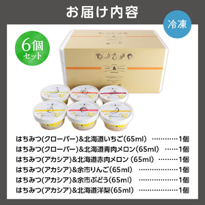 アイスクリーム 6個【 無添加 ・ 北海道産フルーツ ・ 蜂蜜 】スイーツ はちみつ デザートアイスクリーム 北海道石狩市