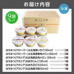 『フルーツアイス9個セット』 無添加 蜂蜜 アイスクリーム デザート はちみつ 北海道石狩市