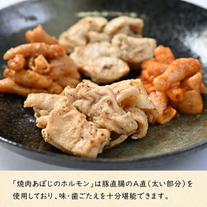 焼肉あぼじのホルモン 5種食べ比べセット（スパイス・コク味噌・ピリ辛・うま塩・瀬戸内塩レモン）北海道石狩市 