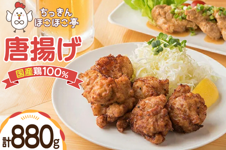 【国産鶏100％使用】 唐揚げ 冷凍 鶏もも 880g [ちっきんほこほこ亭 山形県 高畠町 tk06ayt310000]