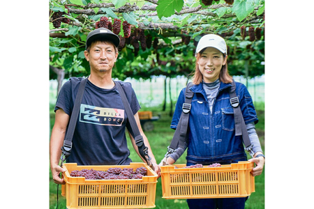 【期間限定発送】 デラウェア 秀品 5～6房 約1kg [相良果樹園 山形県 高畠町 tk06ayt350000]
