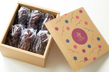 【期間限定発送】 デラウェア 秀品 5～6房 約1kg [相良果樹園 山形県 高畠町 tk06ayt350000]