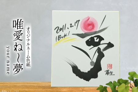 色紙 オリジナル ネーム色紙 唯愛 ね?夢(your name) [彩墨花〈saiboku-ka〉 山形県 高畠町 tk06ayt360001]