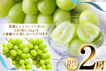 【期間限定発送】 シャインマスカット 訳あり 2房 1.1kg [もん前の里 山形県 高畠町 tk06ays960000]