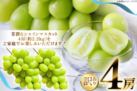 【期間限定発送】 シャインマスカット 訳あり 4房 2.2kg [もん前の里 山形県 高畠町 tk06ays960001]