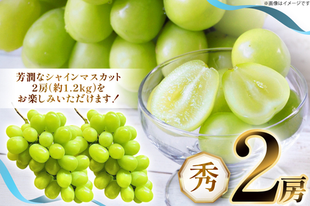 【期間限定発送】 シャインマスカット 秀 2房 約 1.2kg [もん前の里 山形県 高畠町 tk06ays960002]