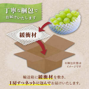 【期間限定発送】 シャインマスカット 秀 2房 約 1.2kg [もん前の里 山形県 高畠町 tk06ays960002]