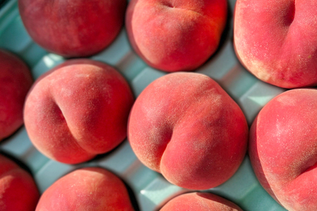 【期間限定発送】 桃 さくら 白桃 3kg [東城農園 山形県 高畠町 tk06ayt370000]