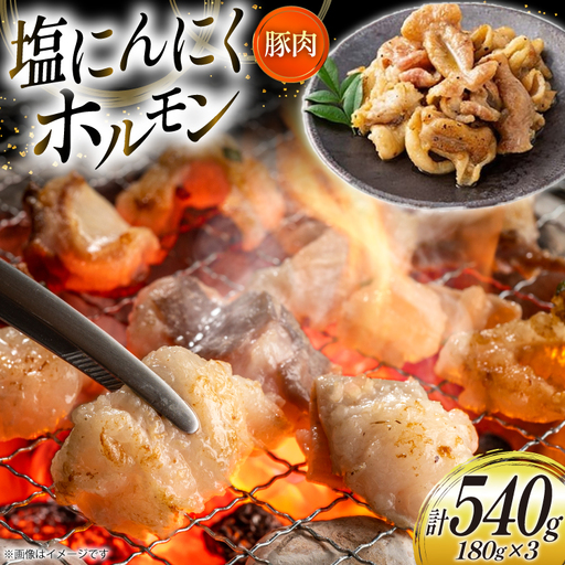 豚肉 ホルモン 塩にんにくホルモン 180g 3p 計540g [りんご苑 山形県 高畠町 tk06ays660016]