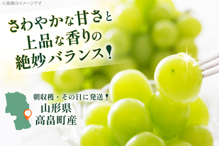 【期間限定発送】 シャインマスカット 約600g 2パック 約1.2kg [本田農園 山形県 高畠町 tk06ays820001]