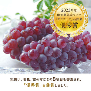 【期間限定発送】 シャインマスカット 2房 1.4kg 以上 朝採り [oboco grapes 山形県 高畠町 tk06ayt250009]