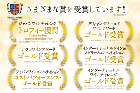 ＜年内発送＞ ワイン 嘉スパークリング シャルドネ 750ml 2本 セット [高畠ワイナリー 山形県 高畠町 tk06ays730027]