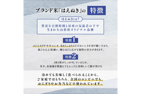 米 令和7年産 はえぬき 10kg [金子農園 山形県 高畠町 tk06ays950022]
