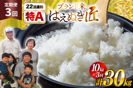 米 定期便 3回 令和7年産 はえぬき 10kg 計30kg [金子農園 山形県 高畠町 tk06ays950023]