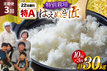 定期便 3回 令和7年産 厳選米 匠 特別栽培米 はえぬき 10kg 計30kg [金子農園 山形県 高畠町 tk06ays950027]