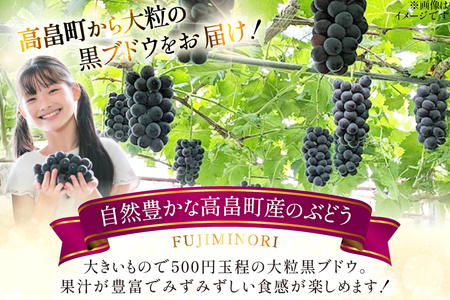 【期間限定発送】 大粒ぶどう 藤稔 2房 約 1.3kg [Ｈinataぶどう園 山形県 高畠町 tk06ayt190009]