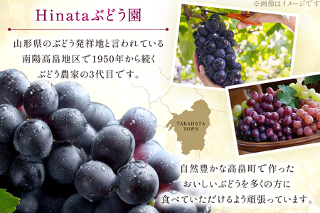 【期間限定発送】 大粒ぶどう 藤稔 2房 約 1.3kg [Ｈinataぶどう園 山形県 高畠町 tk06ayt190009]