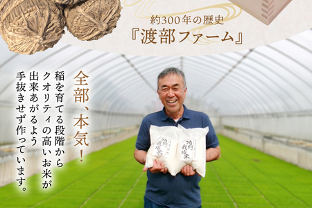 米 令和7年度産 特別栽培米 ミルキークイーン 10kg [渡部ファーム 山形県 高畠町 tk06ays810025]