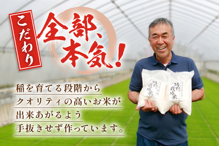 米 令和7年度産 特別栽培米 ミルキークイーン 10kg [渡部ファーム 山形県 高畠町 tk06ays810025]
