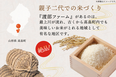 米 令和7年度産 特別栽培米 つや姫 10kg [渡部ファーム 山形県 高畠町 tk06ays810031]