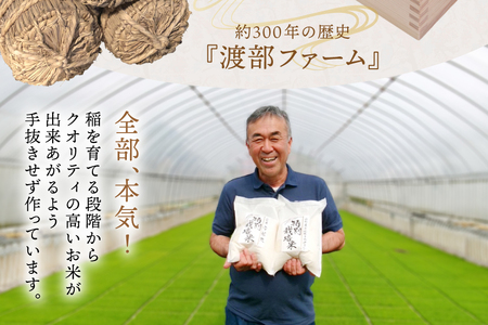 米 令和7年度産 特別栽培米 つや姫 10kg [渡部ファーム 山形県 高畠町 tk06ays810031]