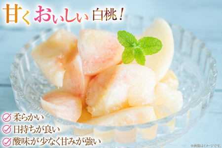 【期間限定発送】 桃 玉うさぎ 2kg [東城農園 山形県 高畠町 tk06ayt370003]