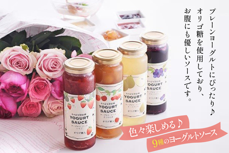 ヨーグルト ソース バラエティー 10本 セット [たかはた果樹園 山形県 高畠町 tk06ays650019]