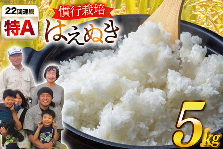 米 慣行栽培 令和7年産 はえぬき 5kg [金子農園 山形県 高畠町 tk06ays950039]