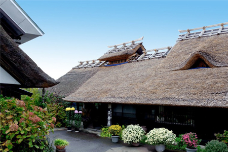 お漬物 晩菊130g 4袋 計520g [三奥屋 山形県 高畠町 tk06ays620008]