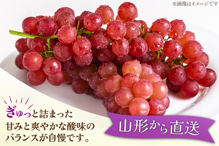 【期間限定発送】【2026年発送】 デラウェア 2kg (約12～16房) [齋藤農園 山形県 高畠町 tk06bgt070001] 