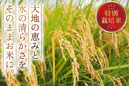 令和7年産 特別栽培米 つや姫 5kg [田制農園 山形県 高畠町 tk06ayt230007] 