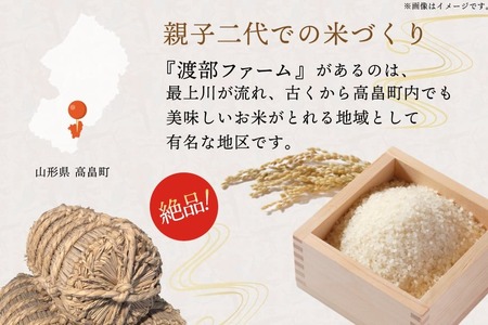 米 令和7年 はえぬき 10kg [渡部ファーム 山形県 高畠町 tk06ays810034] 