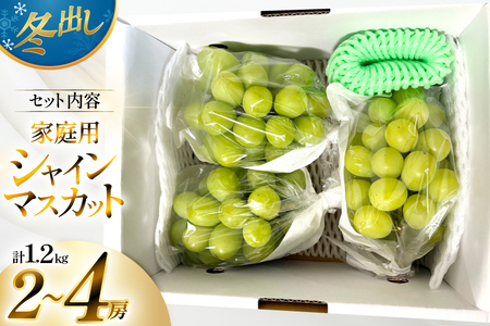 【期間限定発送】 2026年 冬出し 訳あり 家庭用 シャインマスカット 1.2kg (2～4房) [いわた果樹園 山形県 高畠町 tk06ayt400005]