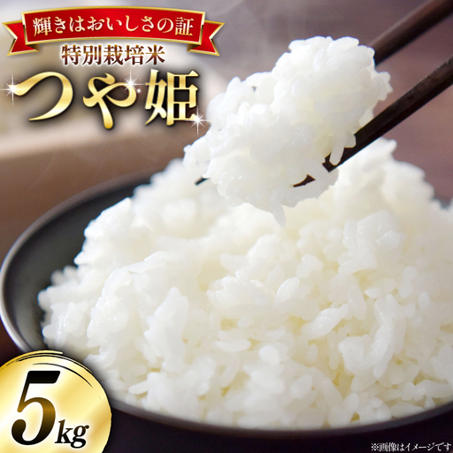 米 令和7年産 特別栽培米 つや姫 5kg [本田勇仁 山形県 高畠町 tk06bgj910004]