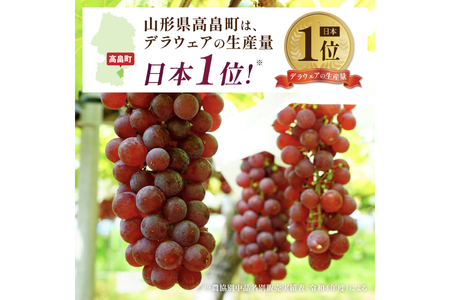 【期間限定発送】 デラウェア 秀品 5～8房 約 1kg [治右衛門果樹園 山形県 高畠町 tk06ays830010]