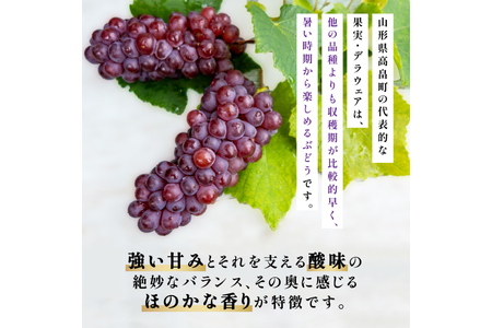 【期間限定発送】 デラウェア 秀品 5～8房 約 1kg [治右衛門果樹園 山形県 高畠町 tk06ays830010]