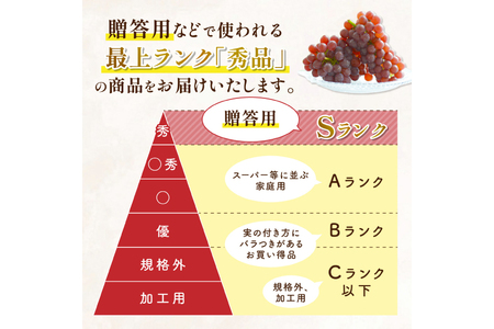 【期間限定発送】 デラウェア 秀品 5～8房 約 1kg [治右衛門果樹園 山形県 高畠町 tk06ays830010]