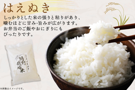 米 定期便 6回 令和7年 はえぬき 5kg 6回 計30kg [渡部ファーム 山形県 高畠町 tk06ays810042] 