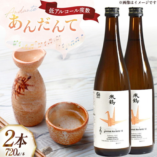 日本酒 純米あんだんて 720ml 2本 セット [米鶴酒造 山形県 高畠町 tk06ays710014]